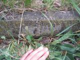 image of grave number 444145